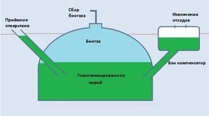 Биогаз энергии для дома